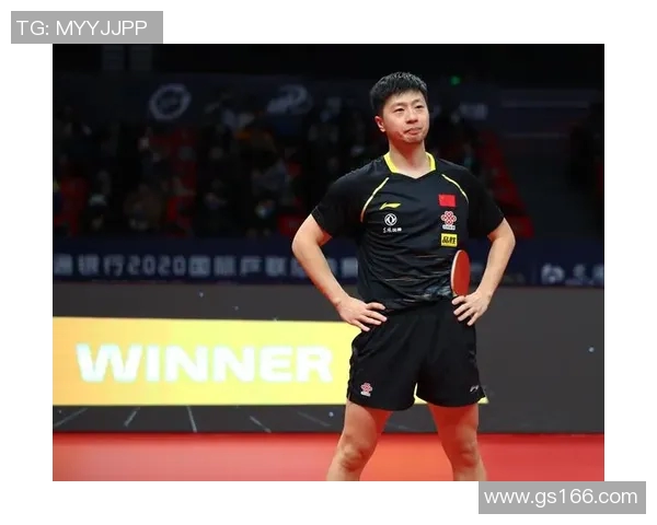 成都乒乓球队总决赛状态分析与表现评估全面解读