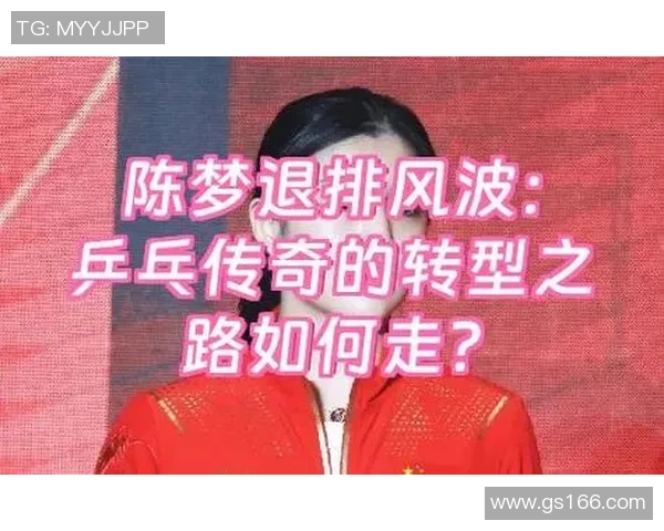 武汉乒乓球队的转型之路与深度解析乒乓球运动的未来发展