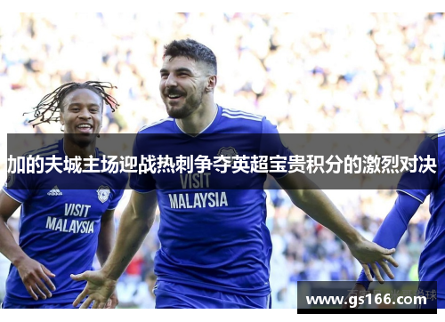 加的夫城主场迎战热刺争夺英超宝贵积分的激烈对决